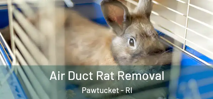 Air Duct Rat Removal Pawtucket - RI