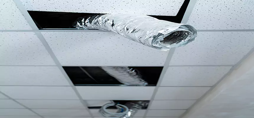 Our Air Duct Pet Hair Removal Services in Pawtucket, RI