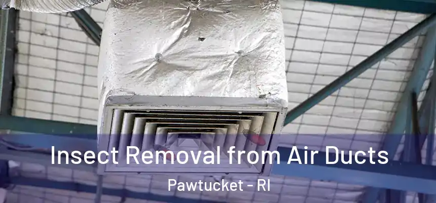 Insect Removal from Air Ducts Pawtucket - RI