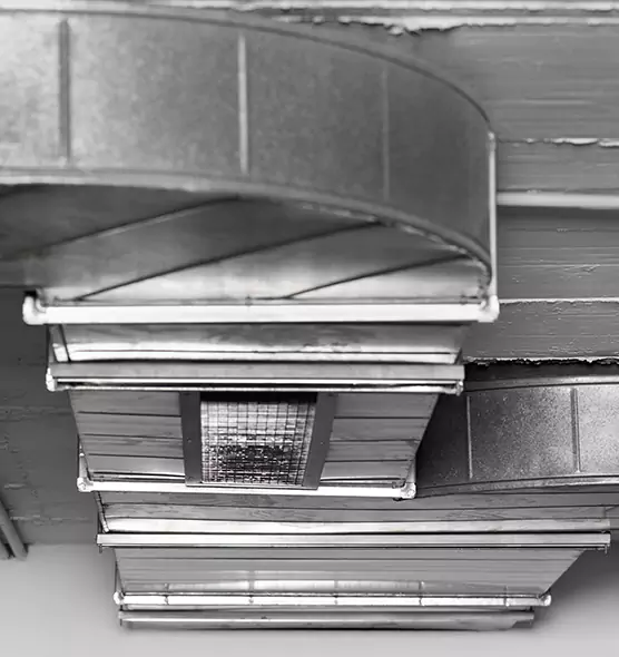 Professional Air Duct Pest Removal in Pawtucket, RI