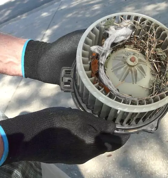 About Air Duct Rat Removal in Pawtucket, RI