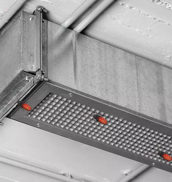 Affordable Insect Removal from Air Ducts in Pawtucket, RI