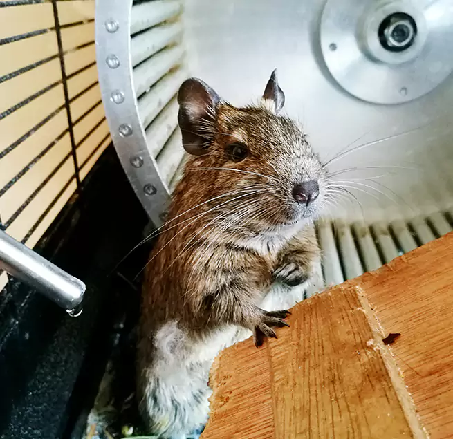 Why Homeowners & Businesses Trust Us Pawtucket, RI