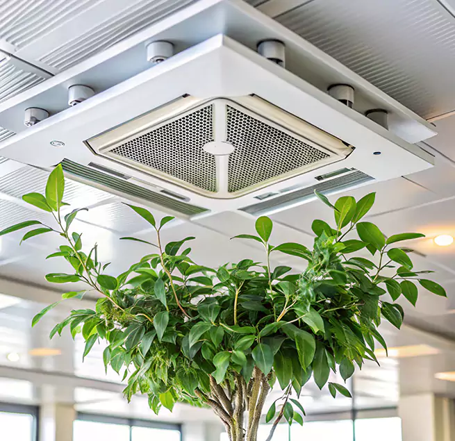 Why Homeowners & Businesses Trust Us in Pawtucket, RI